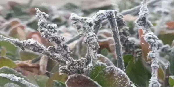 छत्तीसगढ़ के छह जिलों के लिए शीतलहर चलने की चेतावनी