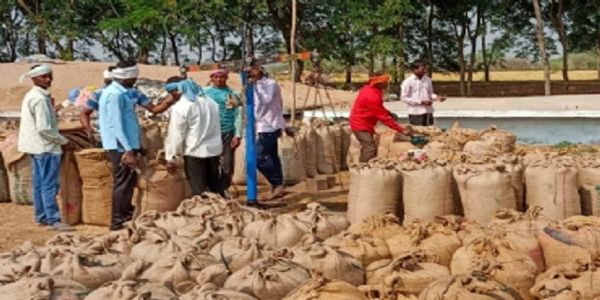 छत्तीसगढ़ में समर्थन मूल्य पर हाे रही धान खरीद में अनियमितता, 38 कर्मचारियों पर हुई कार्रवाई