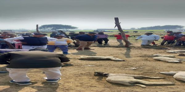 खूंखार भेड़िए ने पशु बाड़े में घुसकर 20 भेड़ों को मार डाला, 20 गंभीर रूप से घायल