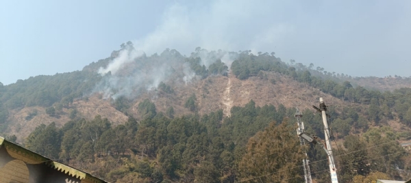 वन विभाग के लिए बनी चुनौती, भालू और वनाग्नि