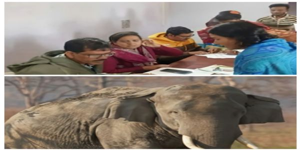 हाथी आतंक के बीच एसआईआर सुनवाई, विशेष केंद्र की व्यवस्था