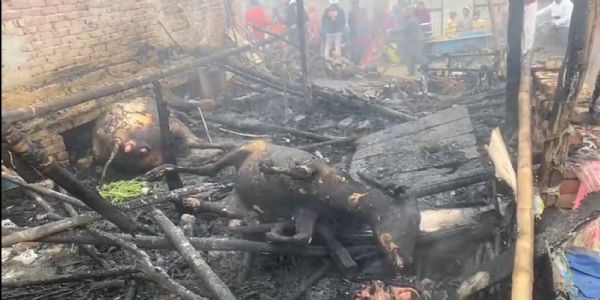 छप्पर में आग लगने से पशुओं की मौत