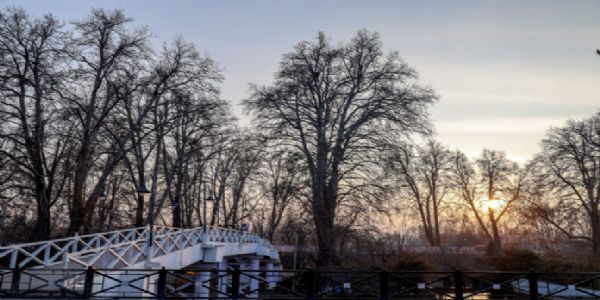 कश्मीर में शून्य से नीचे का तापमान जारी, ऊंचे इलाकों में हिमपात की संभावना