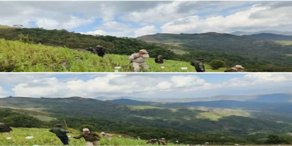 मणिपुर के कासोम खुल्लेन क्षेत्र में 14 एकड़ अवैध अफीम की खेती नष्ट