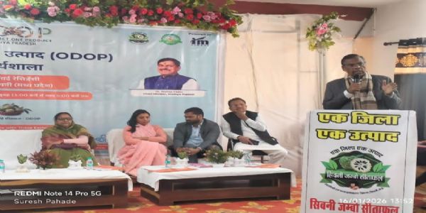 सिवनीः जंबो सीताफल बनेगा जिले की पहचान, खेती से उद्योग तक बढ़ेगा दायरा