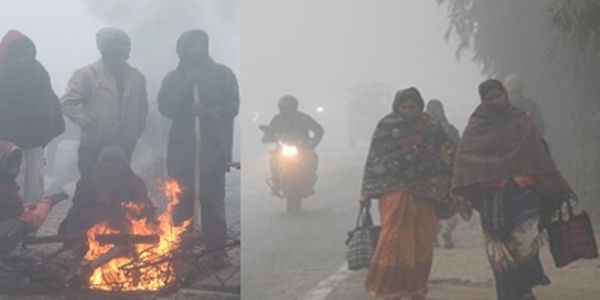 मध्य प्रदेश में कड़ाके की ठंड जारी, न्यूनतम तापमान 4.6 डिग्री तक गिरा, उत्तरी हिस्सों में छायी कोहरे की चादर
