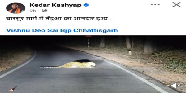 वन मंत्री केदार ने बारसूर-चित्रकोट मार्ग पर एक तेंदुआ दिखने का वीडियाे फेसबुक पर किया शेयर