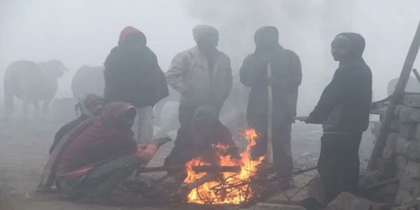 मध्‍य प्रदेश में ठंड का कहर जारी, मंदसौर में पारा 2.5 डिग्री पर पहुंचा, शीतलहर-कोहरे से जनजीवन प्रभावित