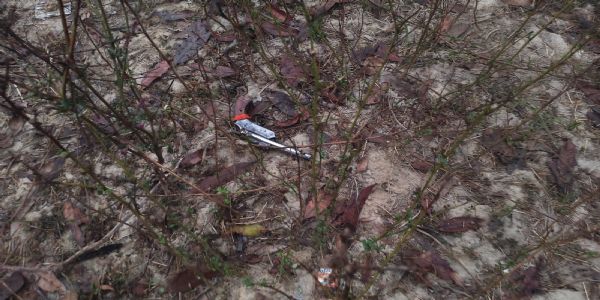 कन्नौज: जेल से फरार डंपी उर्फ शिवा पुलिस मुठभेड़ में घायल