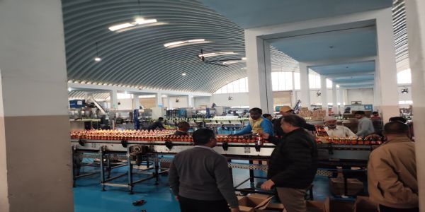 खाद्य सुरक्षा विभाग की बड़ी कार्रवाई: धनिया पाउडर व खाद्य तेल के नमूने सीज, लाखों का माल रोका गया