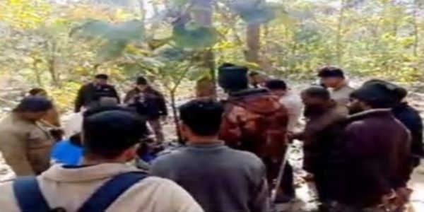 बाघ ने युवक को बनाया निवाला