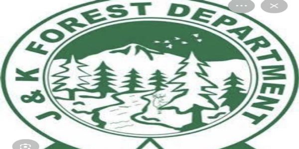 खैर पेड़ों की कटाई पर वन विभाग का स्पष्टीकरण, अवैध कटाई की खबरों को भ्रामक और निराधार बताया