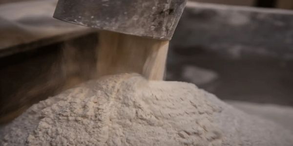 गेहूं के आटे के लोगो का प्रतीकात्‍मक चित्र