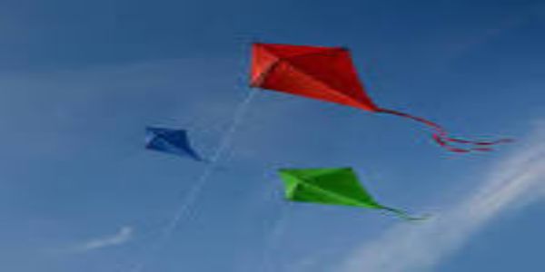 जोधपुर में सभी प्रकार के मांझे से पतंगबाजी पर रोक