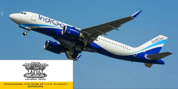 इंडिगो एयरलाइन के लोगो का प्रतीकात्‍मक चित्र