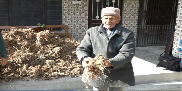 प्राकृतिक खेती से की कमाई, रिटायर्ड प्रिंसिपल ने कई क्विंटल हल्दी उगाई