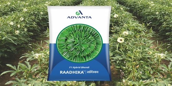 एडवांटा इंटरप्राइजेज पब्लिक इश्यू लाएगी, सेबी के पास डीआरएचपी जमा कराया