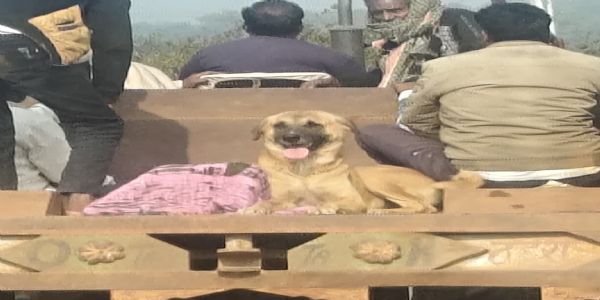 बेजुबान की वफादारी: मालिक ने तोड़ा दम, तो शव के पास रातभर बैठा रहा कुत्ता; पीएम कराने भी साथ गया 