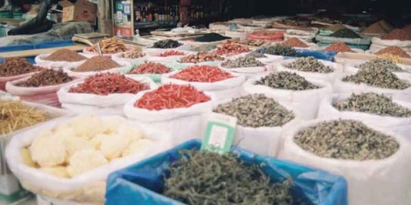 भोपाल हाट में 24 से 26 जनवरी तक लगेगा आजीविका ग्रीन मेला