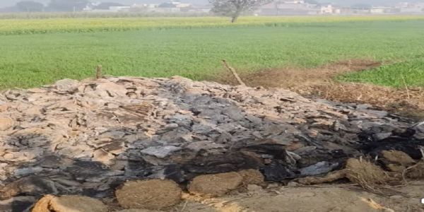 बागपत के बाघू गांव में जला हुआ शव मिला