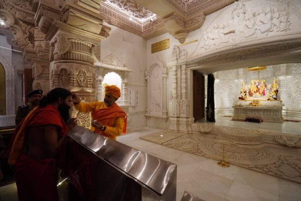 योग गुरु