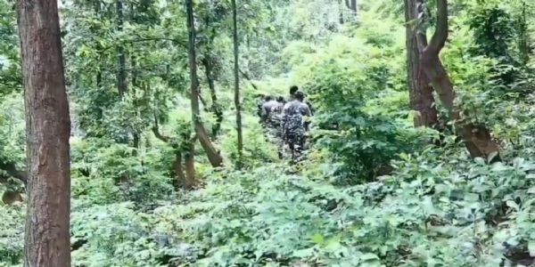 बिहड़ जंगल में नक्सलियों के विरुद्ध सुरक्षाबलों का चलाए जा रहे अभियान में जवान बिहड़ जंगल में नक्सलियों के विरुद्ध सुरक्षाबलों का चलाए जा रहे अभियान में जवान