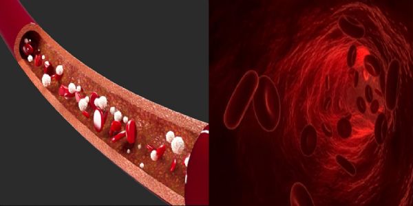 दवाओं से नहीं मिल रही राहत? रक्त की कमी बन रही चुनौती, आयुर्वेद में 7 दिन में दिखता है असर