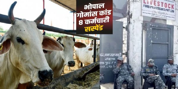 भोपाल स्लॉटर हाउस गौमांस प्रकरण में जांच तेज, अब तक 8 नगर निगम कर्मचारी निलंबित