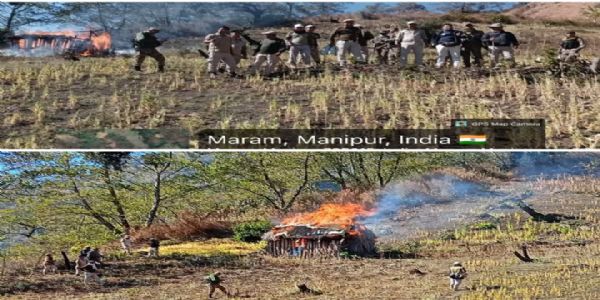 मणिपुर में 10 एकड़ अफीम की अवैध खेती नष्ट