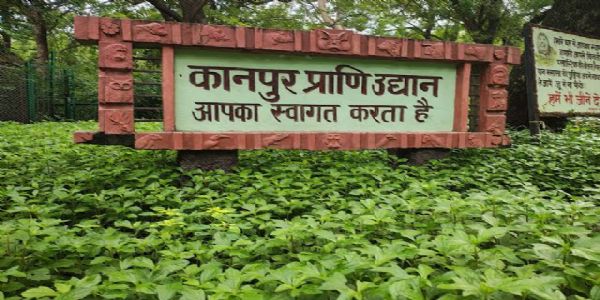 गणतंत्र दिवस पर कानपुर चिड़ियाघर में 11,500 दर्शक, टिकट बिक्री लगभग 7 लाख रुपये