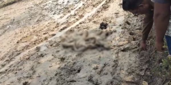 जांजगीर-चांपा: खेत में मिली युवती की लाश, गांव में फैली दहशत, पुलिस जांच में जुटी