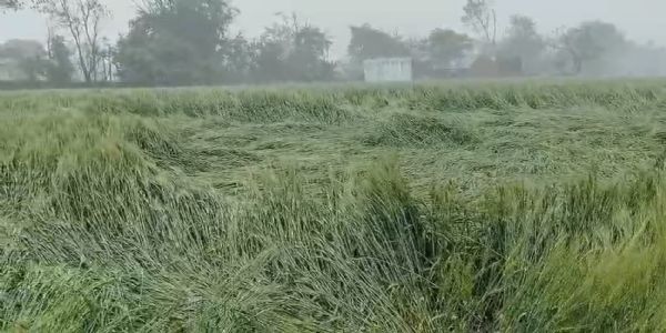 करैरा में कुदरत का कहर: सिर पर 