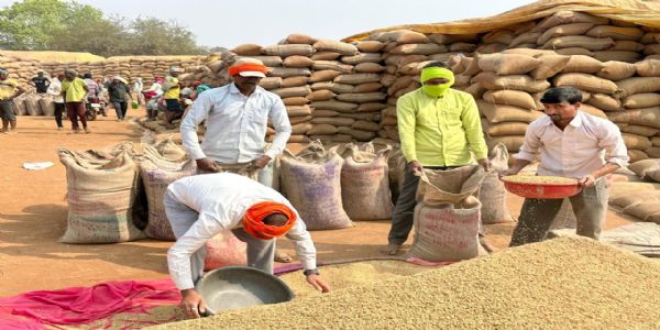 समर्थन मूल्य पर जिले में 58 लाख क्विंटल की हुई धान खरीद