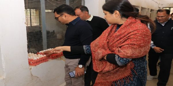 झाबुआ: एक जिला एक उत्पाद योजना से कड़कनाथ को अंतरराष्ट्रीय पहचान की संभावनाएं - डॉ. खाड़े