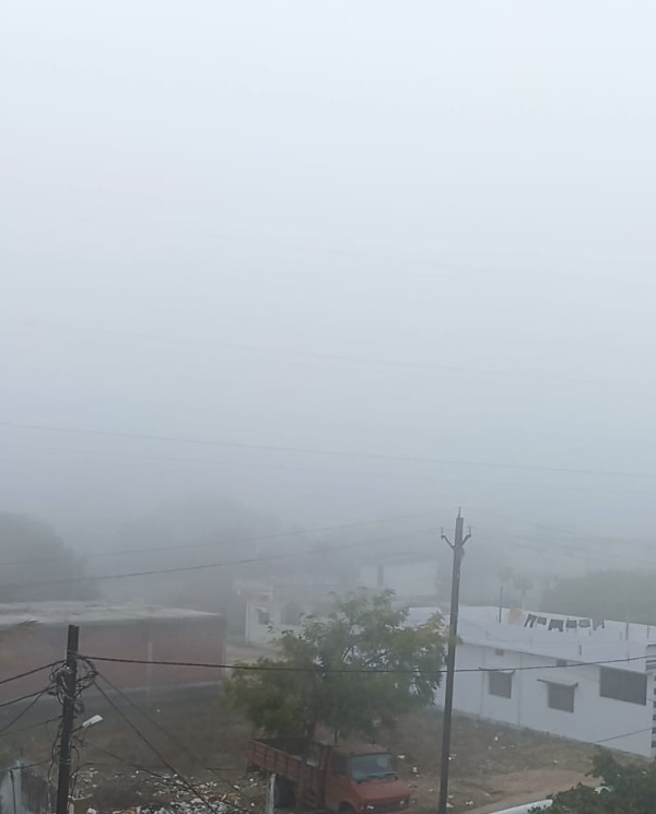 घना काेहरा