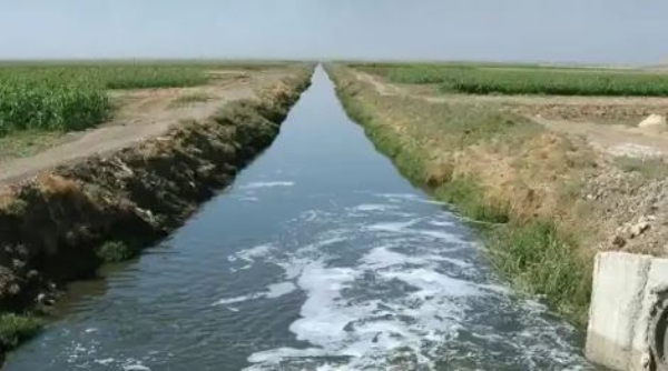 प्रतीकात्मक फोटो।