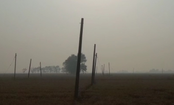 पोल जहां से तार काटे गये