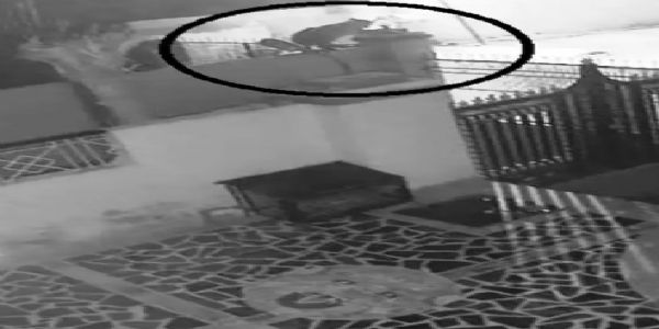 उदयपुर के बड़गांव में घर के एंट्री प्वाइंट तक पहुंचा लेपर्ड, लोगों में दहशत