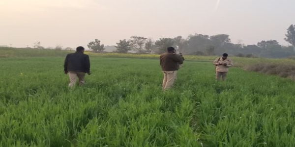 सुलतानपुर : गेहूं के खेत में मिला महिला का कटा हुआ हाथ-पैर