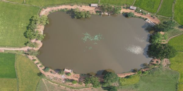 जांजगीर : वीबी जीरामजी योजना की जानकारी के लिए जांजगीर-चांपा जिले में होंगे ‘सरोवर संवाद’