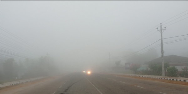 नेपाल के मैदानी इलाके में कोहरा