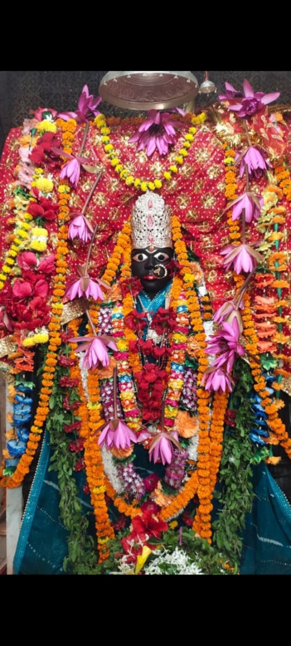 मां विंध्यवासिनी स्वरूपा मवैया देवी