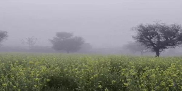 राजस्थान में कड़ाके की ठंड , नाै जिलों में घने कोहरे का अलर्ट