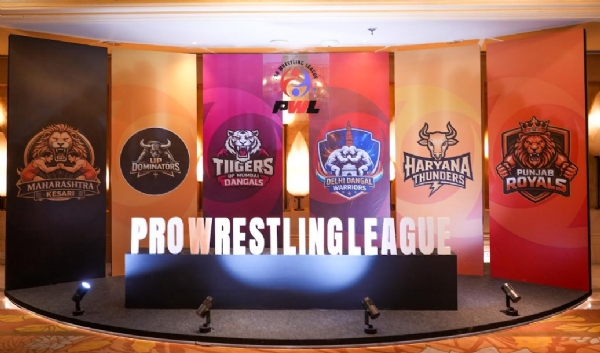 प्रो रेसलिंग लीग ऑक्शन