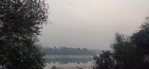 Danger of pollution behind the haze of log