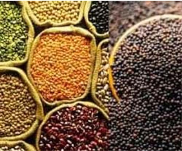 दालहन एवं तिलहन