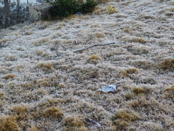 अमरकंटक में जमी ओस बिछी सफेद चादर