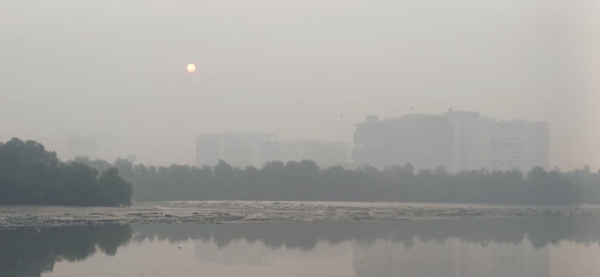 Danger of pollution behind haze of log