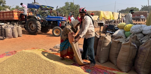 धान की तौलाई करते हुए किसान