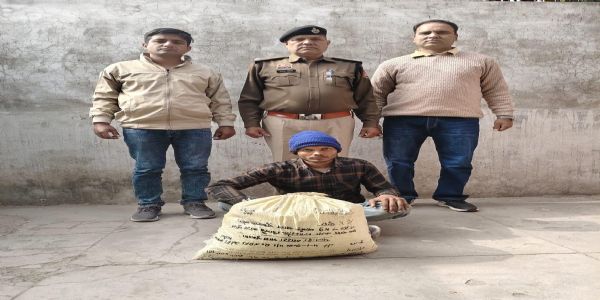 पानीपत में सात किलो गांजे के साथ नशा तस्कर गिरफ्तार।